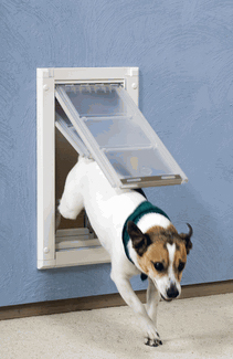 Pet Door Installer Thousand Oaks Handyman Service
