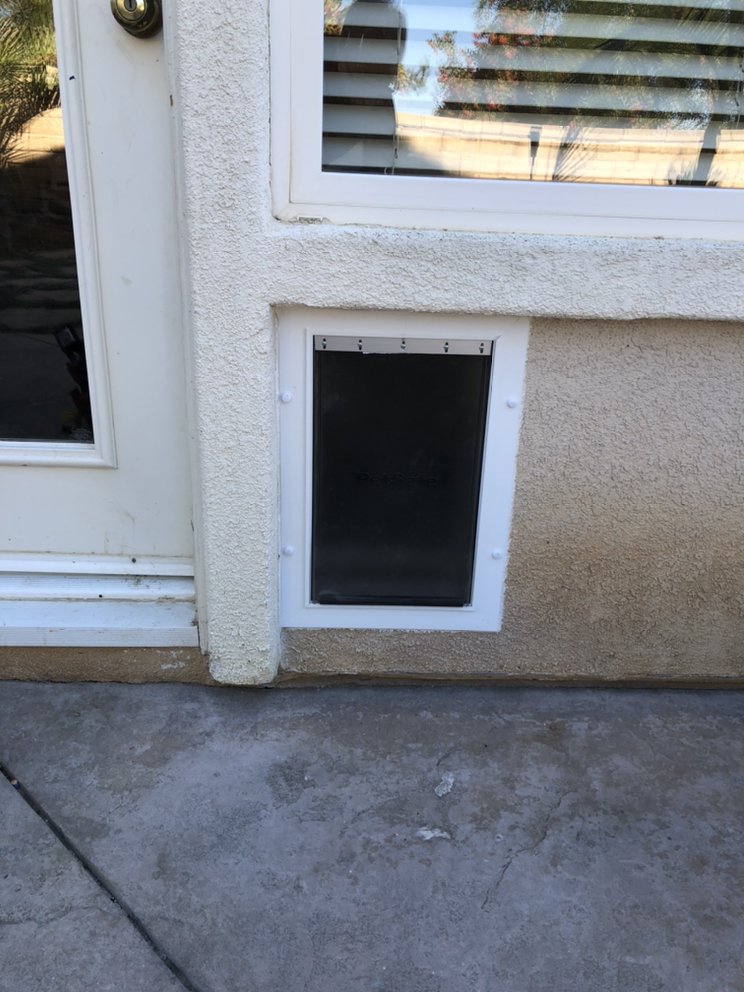 new doggy door in stucco wall